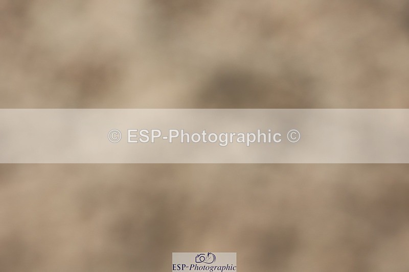 250621-160840-09997 - Cls 40 - FEI Inter I, 15.50 to End