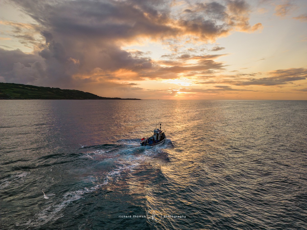 Coverack catch - FROM ABOVE