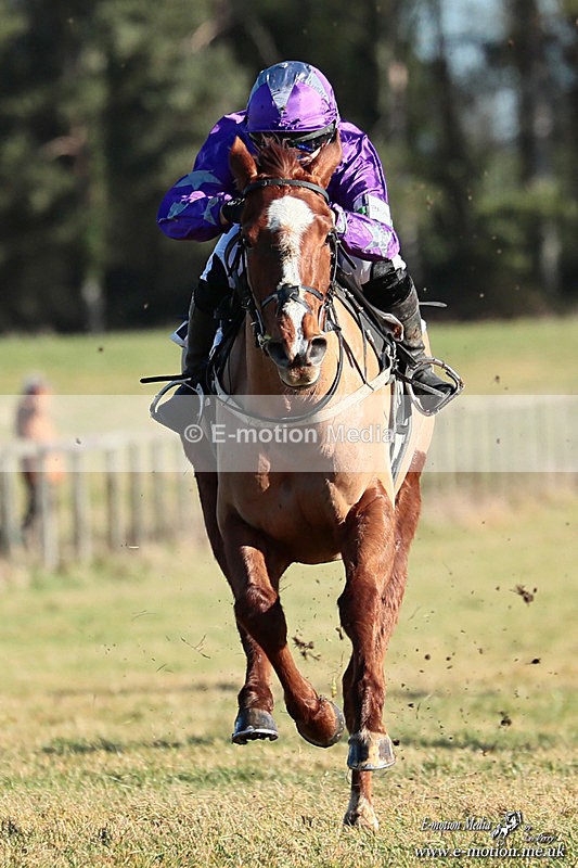 PR PtP 240126 339a - Pony Racing Horseheath 24/01/26