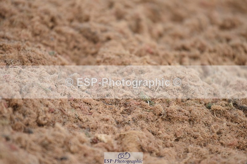 230630A-170650-03767 - Cls 1+2 Intro A + B