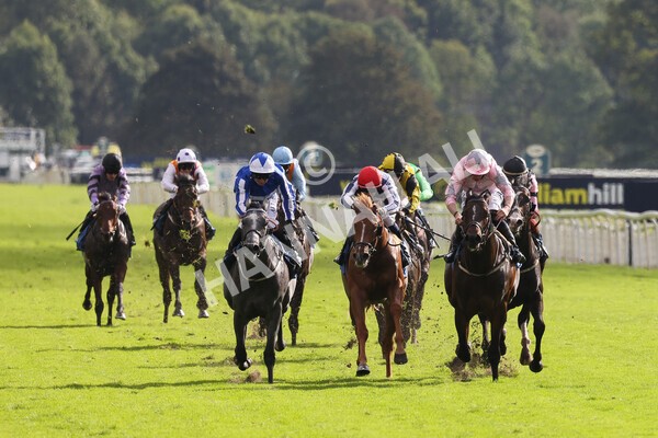 yr24092021r4-13 - Race 4 3.15pm William Hill Play Responsibly British EBF Restricted Novice Stakes