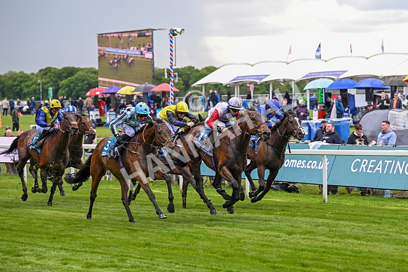 140526-Race 3-Maybe Not-4897 - Race 3 2.55pm Oakmere Homes Hambleton Handicap
