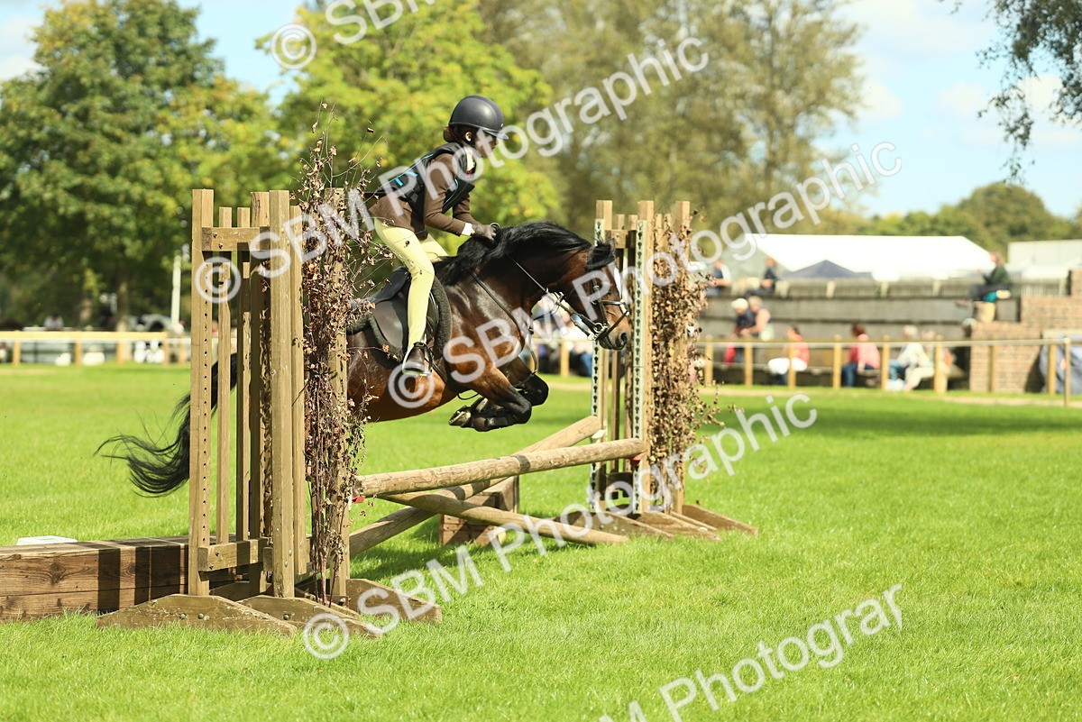 SBM_42745 - S30 - M&M Working hunter Pony