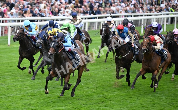220825-137 Asfoora - Race 4 3.35pm Coolmore Wootton Bassett Nunthorpe Stakes