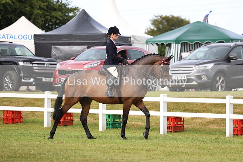 3E7A7978 - Class 2: Rising Star Large Hack/Riding Horse