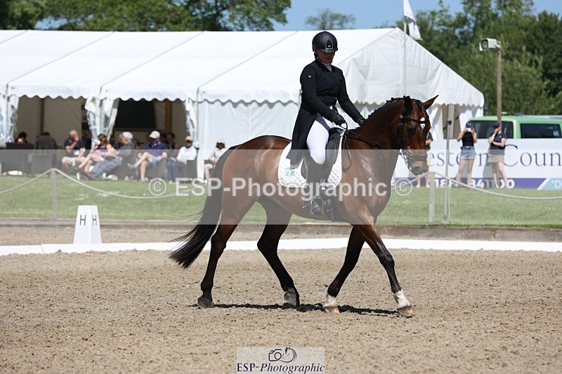 230526-113645-06085 - 154-GELUK_G-Molly_Adams-WEDTrotUp+DR
