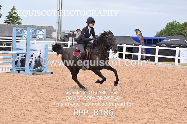 BPP_8186 - CLASS 18 SAT Nupafeeds Senior Discovery/1m open