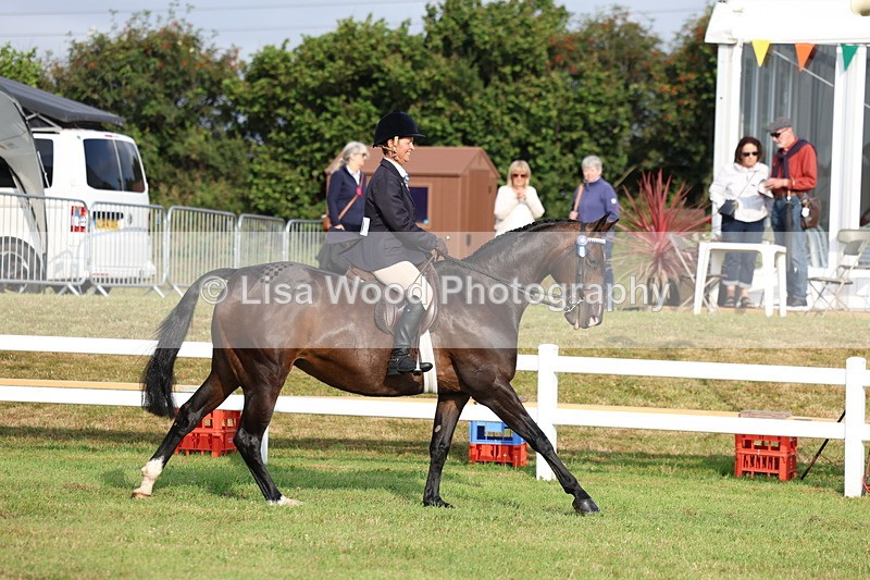 3E7A7709 - Class 1: Rising Star Small Hack/Riding Horses