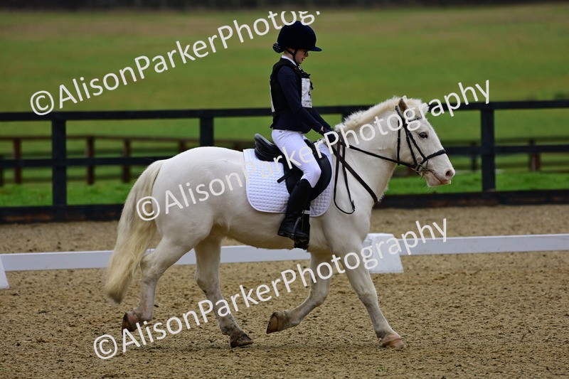 20260125-0582 - Class 9b - Walk Trot Unassisted