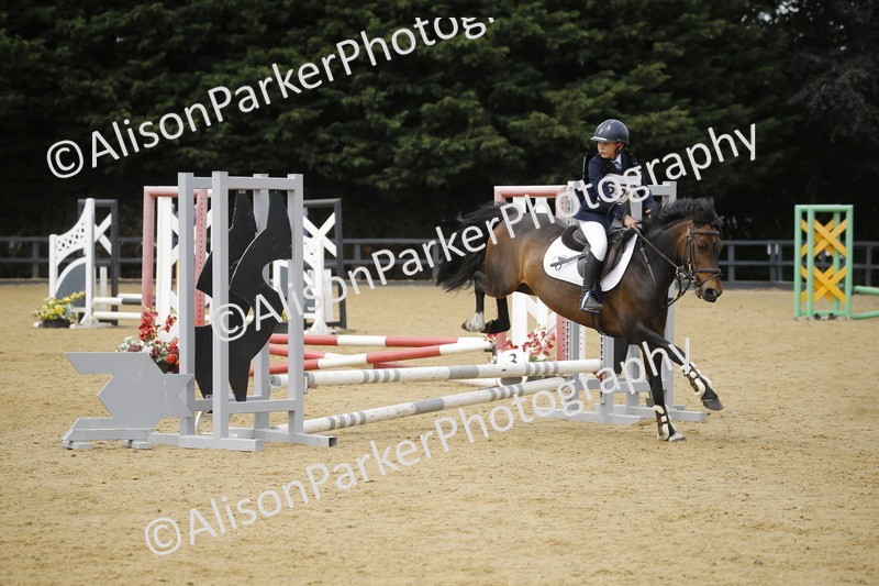 20250622-4734 - 50cm