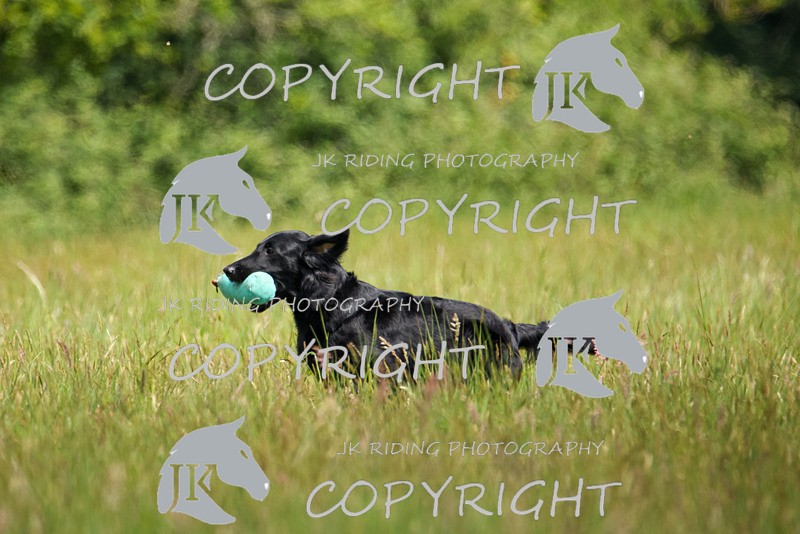 2R6A8655 - 37 Jane