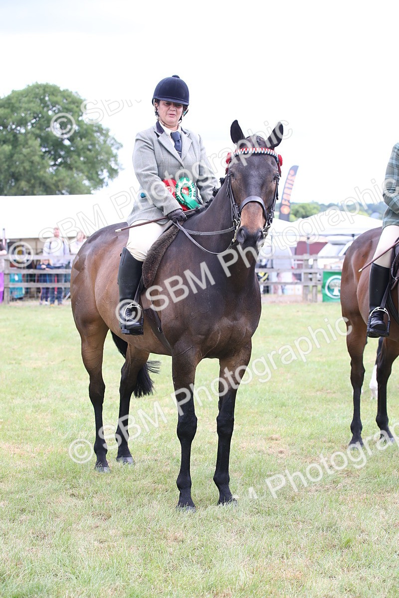 SBM_14244 - Class 113-114 - Retraining of Racehorses Ridden