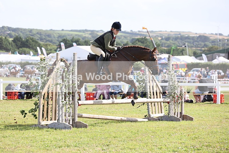 JPP_2548 - Class 20: Working Hunter 70cm