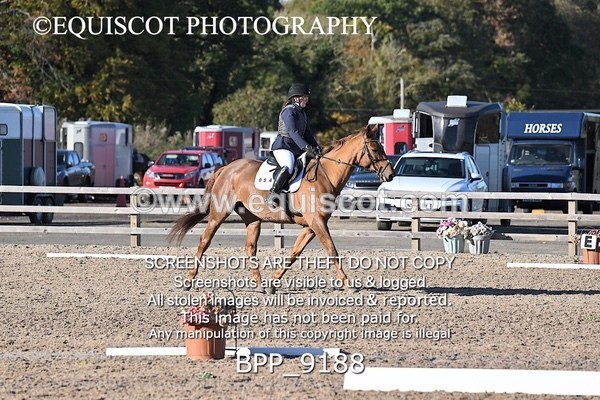 BPP_9188 - SHORT ARENA