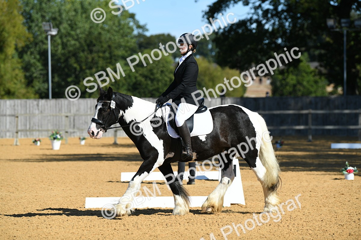 SBM_18222 - D4 - Small Tour Championship - Intro B