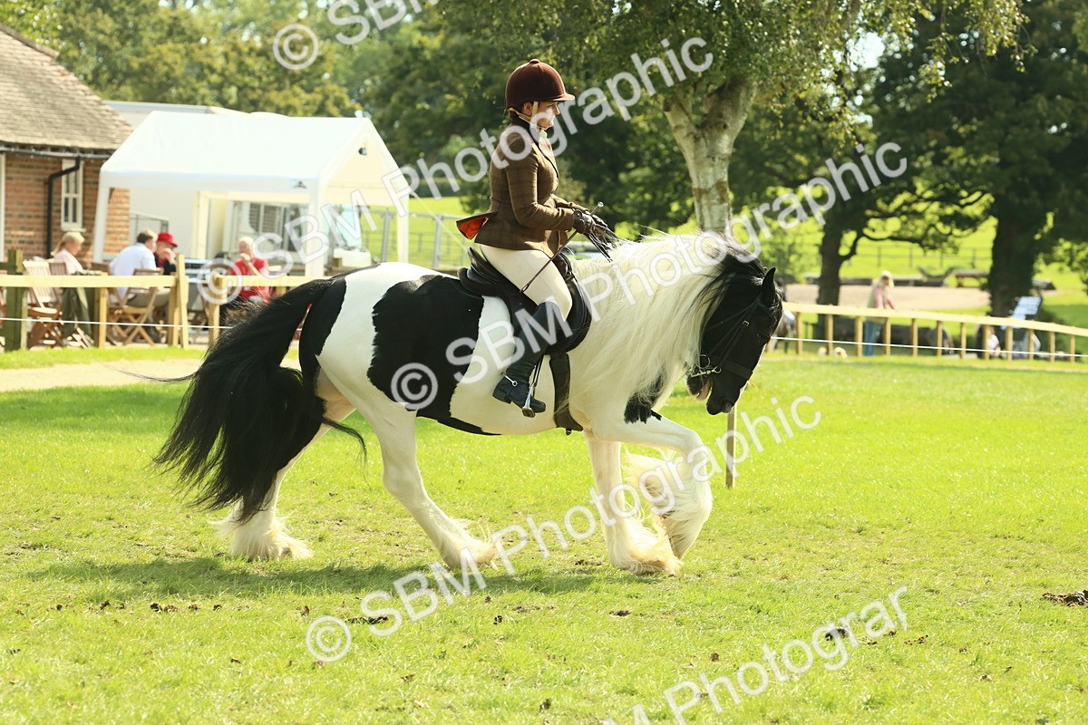 SBM_68786 - S58 - Mini Show Cob Ridden