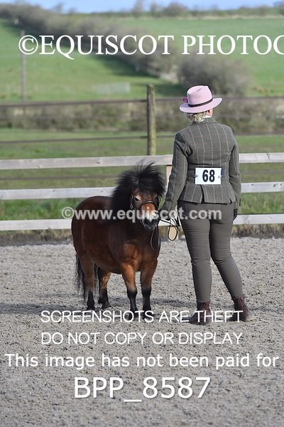 BPP_8587 - RING 2 - M&M