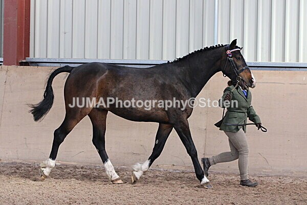 SIAL9666 - Indoor Classes