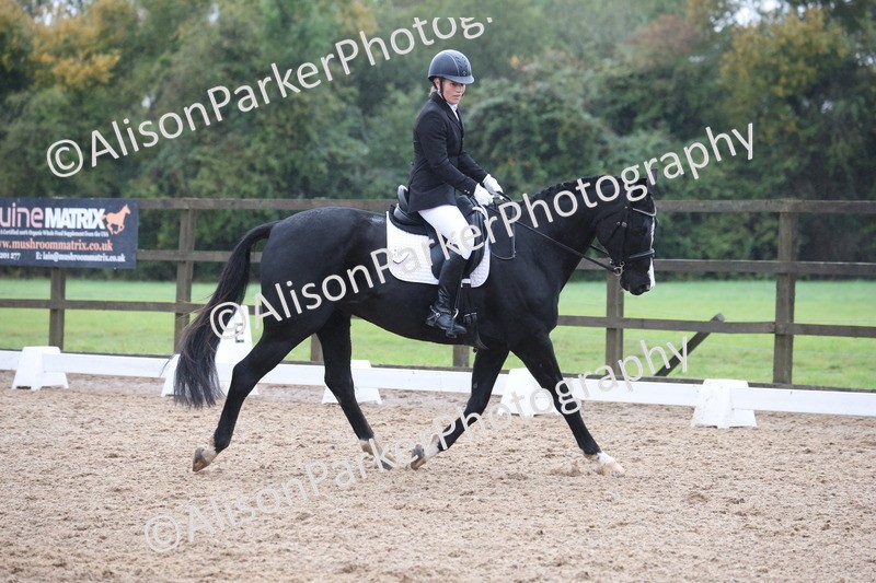 20261021-0773 - Class 6 - Novice 3
