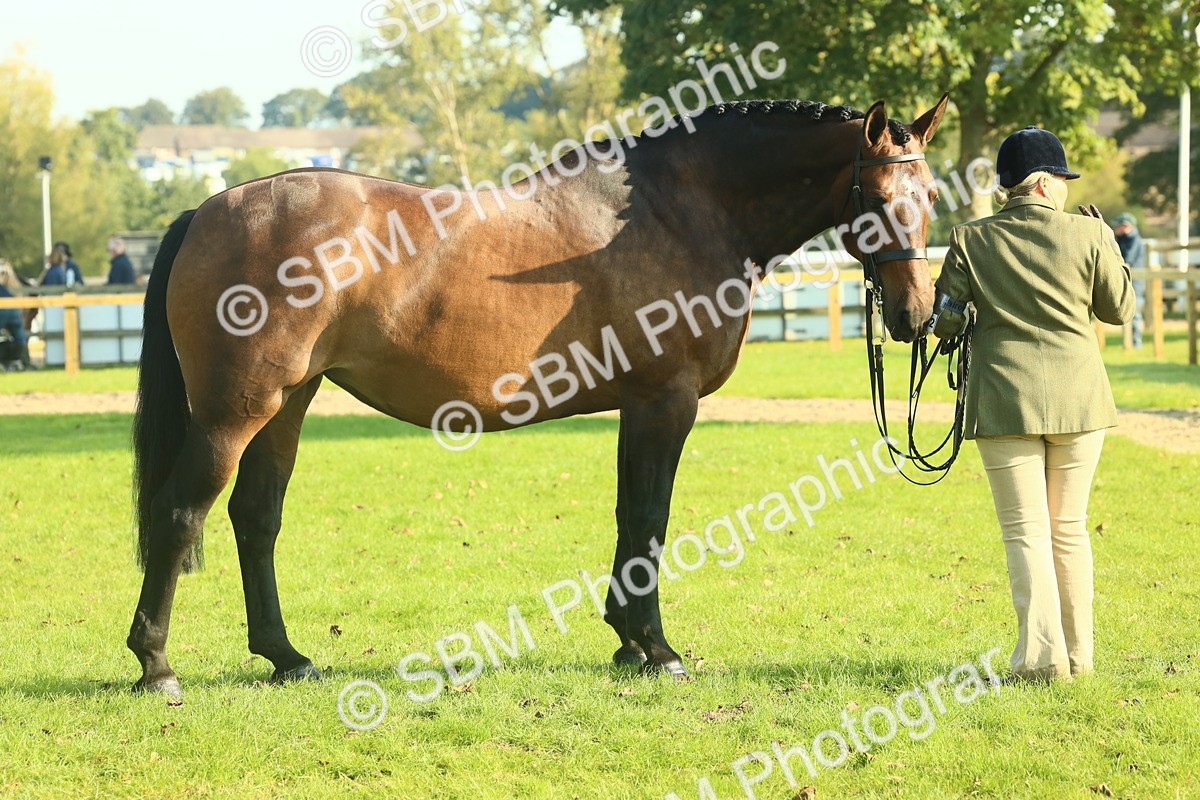 SBM_58625 - S37 - Starters In Hand Showing