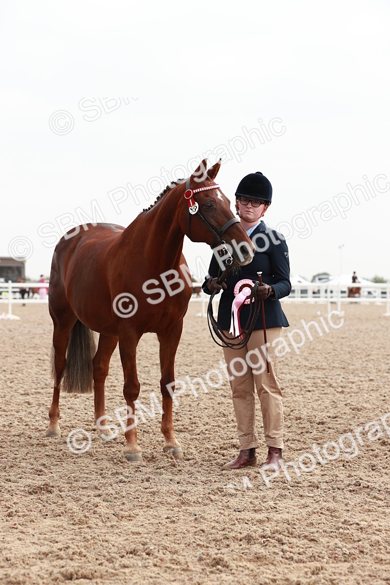 SBM_09579 - Class 201 Best Turned Out IH