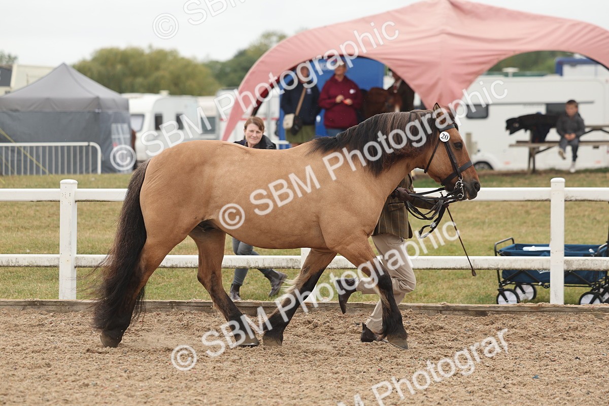 SBM_00489 - Class 13 Young Handler