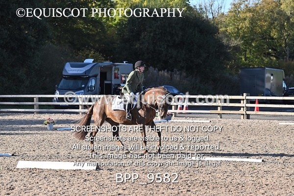 BPP_9582 - SHORT ARENA
