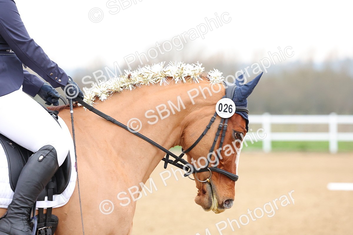 SBM_001640 - Class 8-11 - Novice 2 - Elementary 2