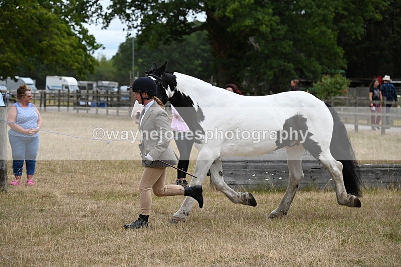 WJ6_8379 - Class 10 Coloured in Hand