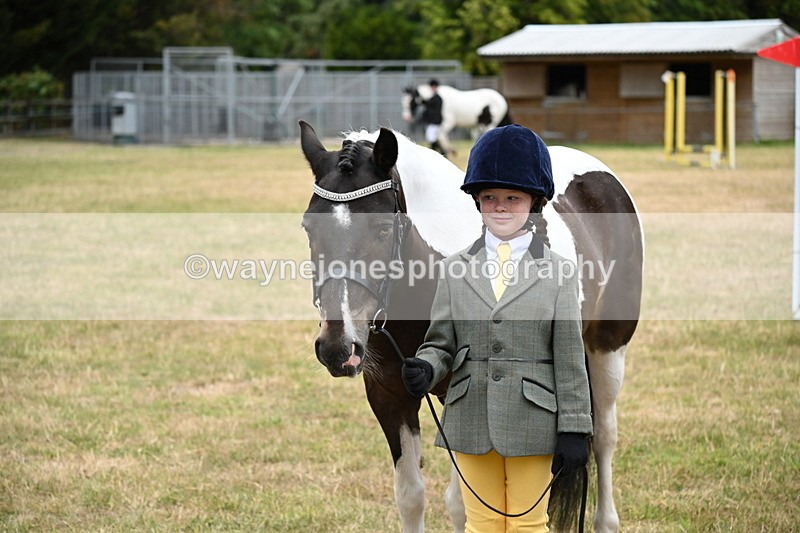 WJ6_4423 - Class 10 Coloured In-hand