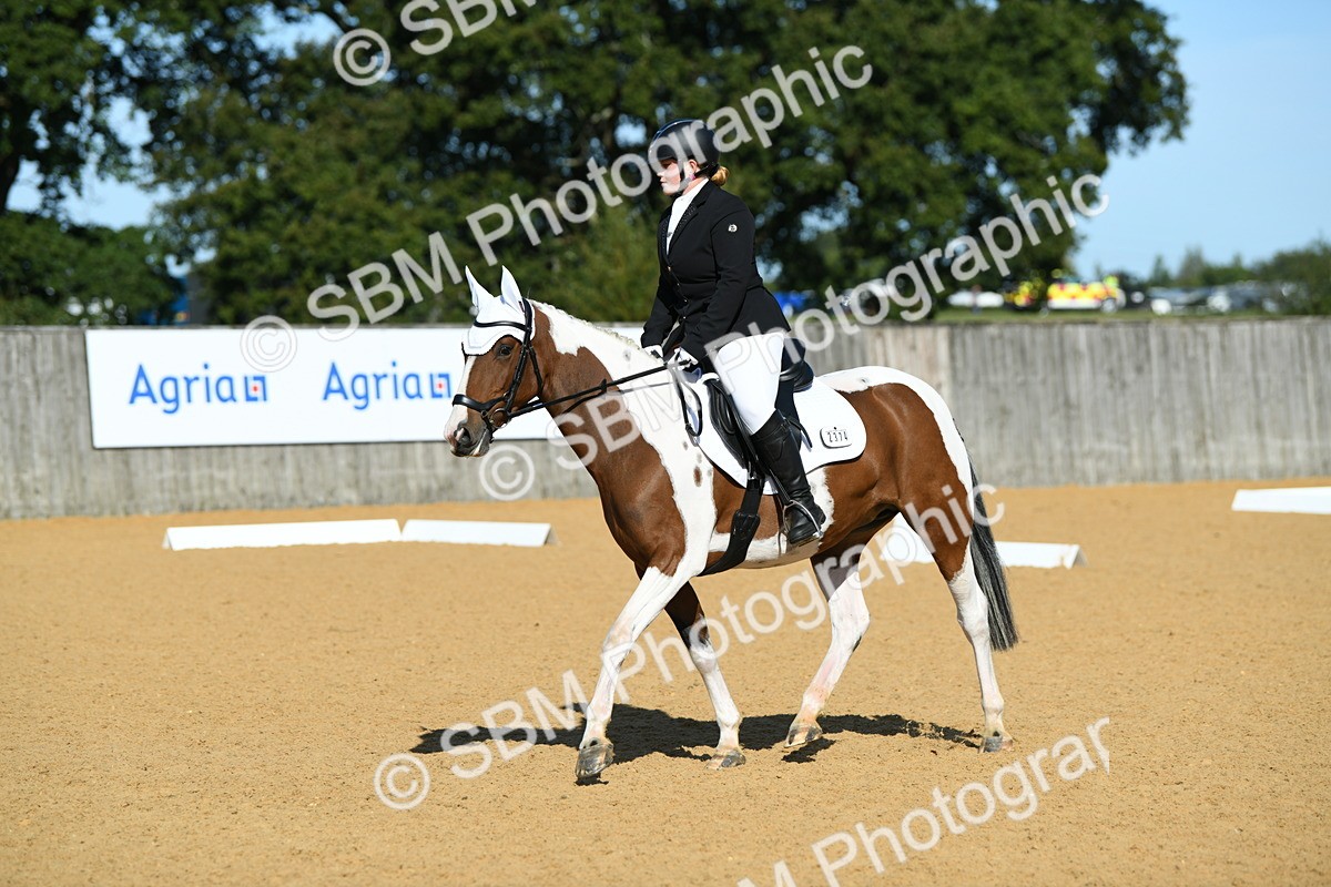 SBM_17920 - D4 - Small Tour Championship - Intro B