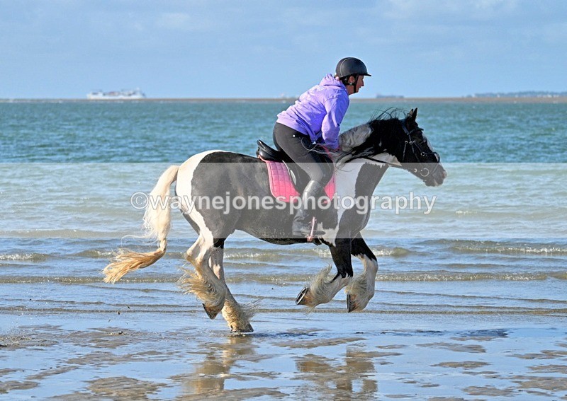 WJ7_3343_1 - Kellie & Churchill ... do Hayling Island 25-08-24
