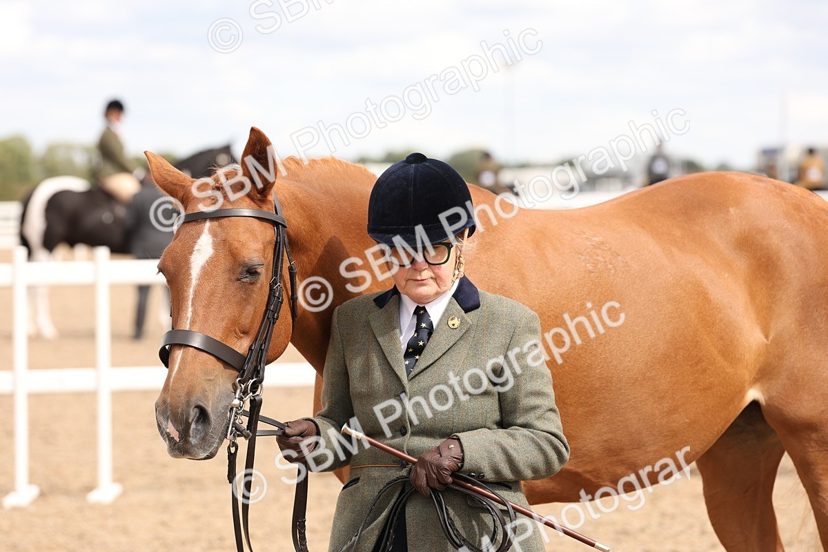SBM_14694 - Class 208 - IH Veteran Horse