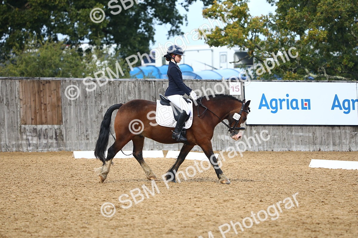 SBM_39031 - D21 - Junior Championship Intro 1