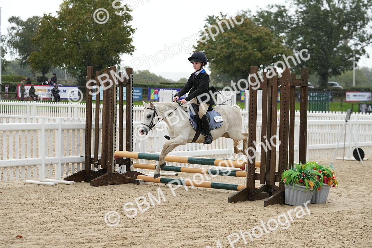 SBM_33891 - J5 - Junior Pony 50cm Championship