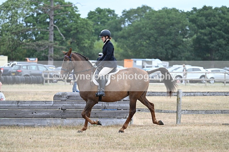 WJ7_0816 - Class 7 Riding Club Show Horse