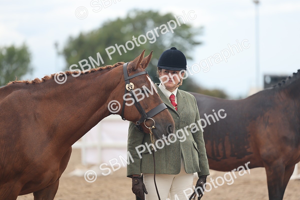 SBM_07823 - Class 27 - IH Competition Horse/Pony