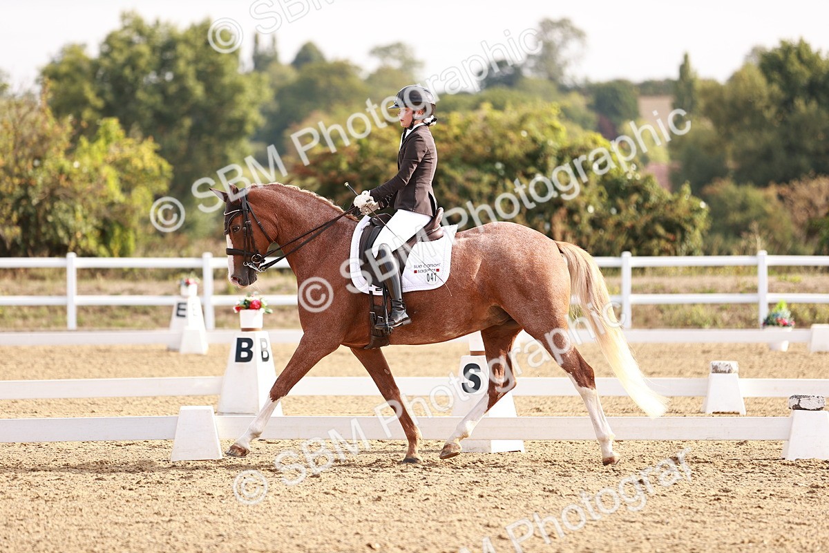 SBM_016868 - Class 10 - Medium 6