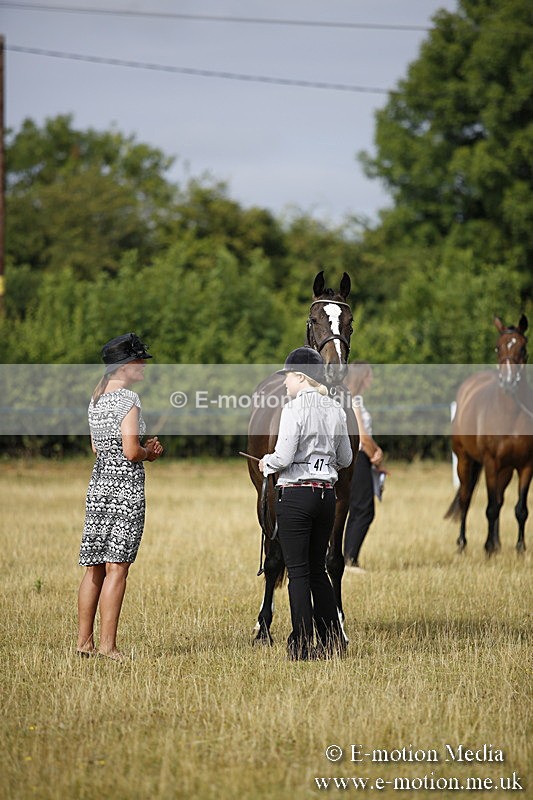 _C7A9136 - BVRC Sow 2018 Ring 2