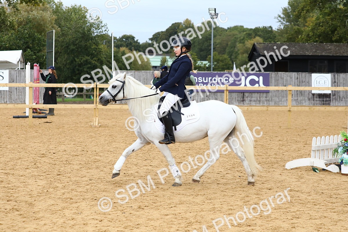 SBM_68108 - J3b - Mini Tour Junior Pony 40cm Championship