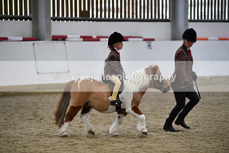 WJ5_6781 - Class 10 Childs Pony