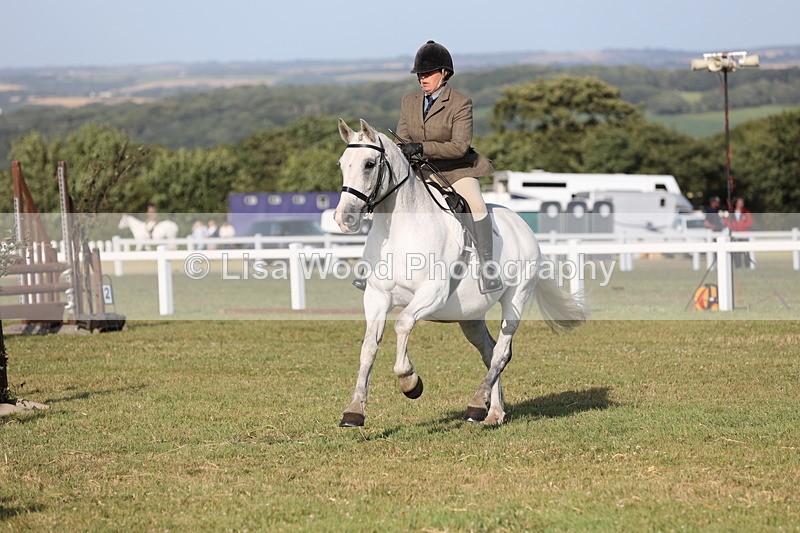 JPP_3375 - Class 22: Working Hunter 90cm