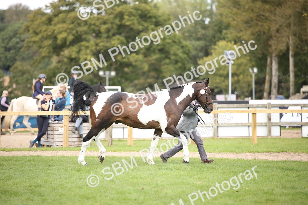 SBM_44471 - S24 - Young Veteran in hand