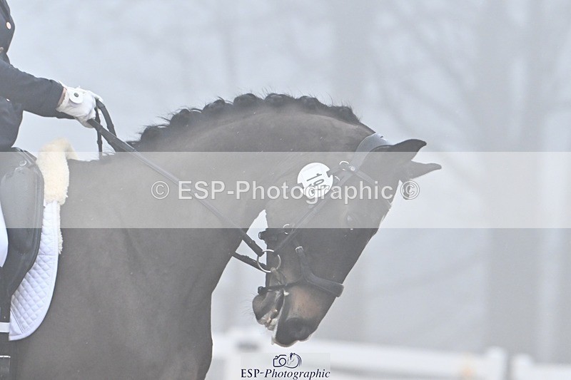 250215-093755-02839 - 192-Dominique.Mills-Sermaggio