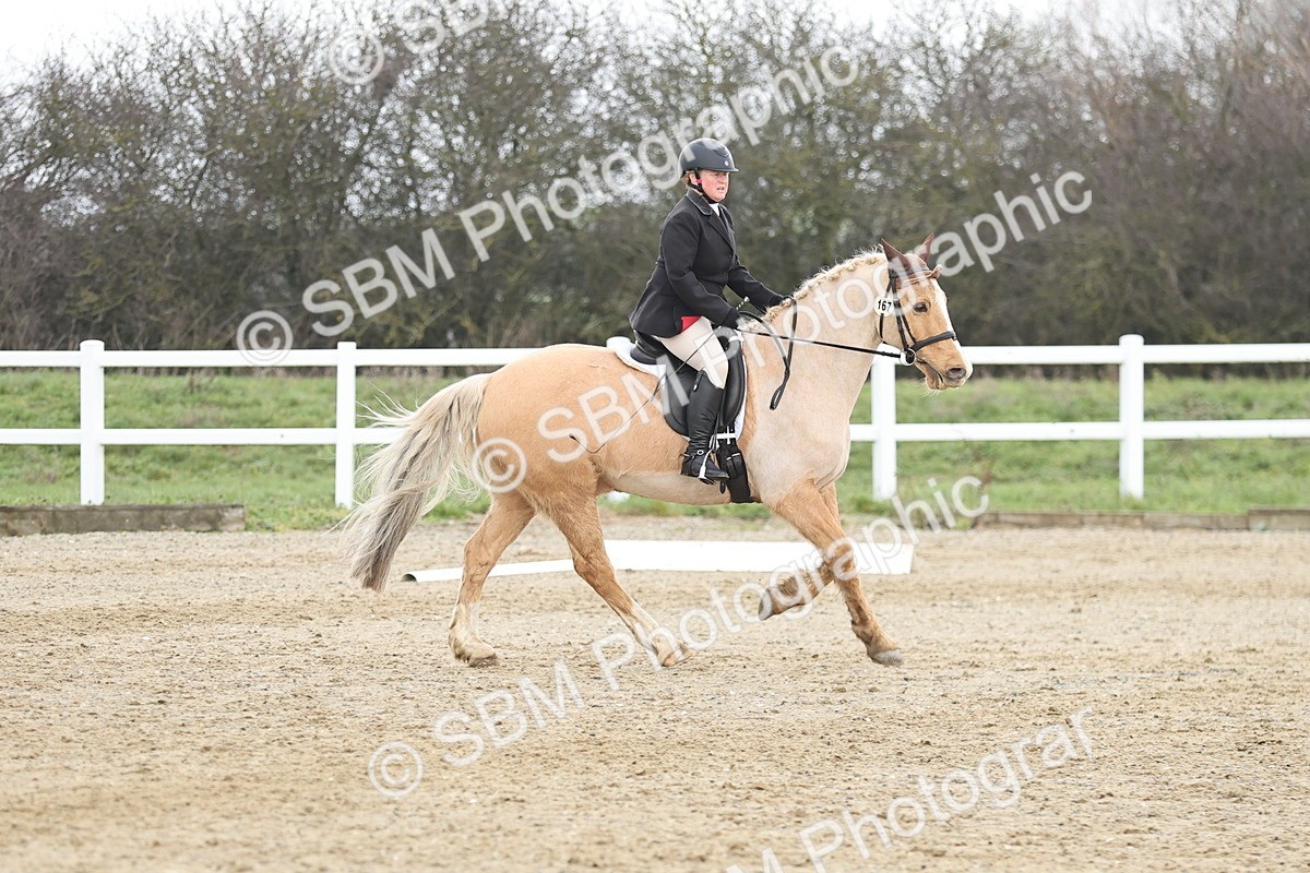 SBM_004203 - Novice 1