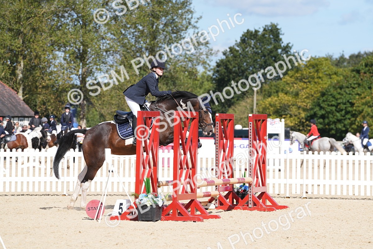 SBM_38897 - J21 - Junior Horse 60cm Championship