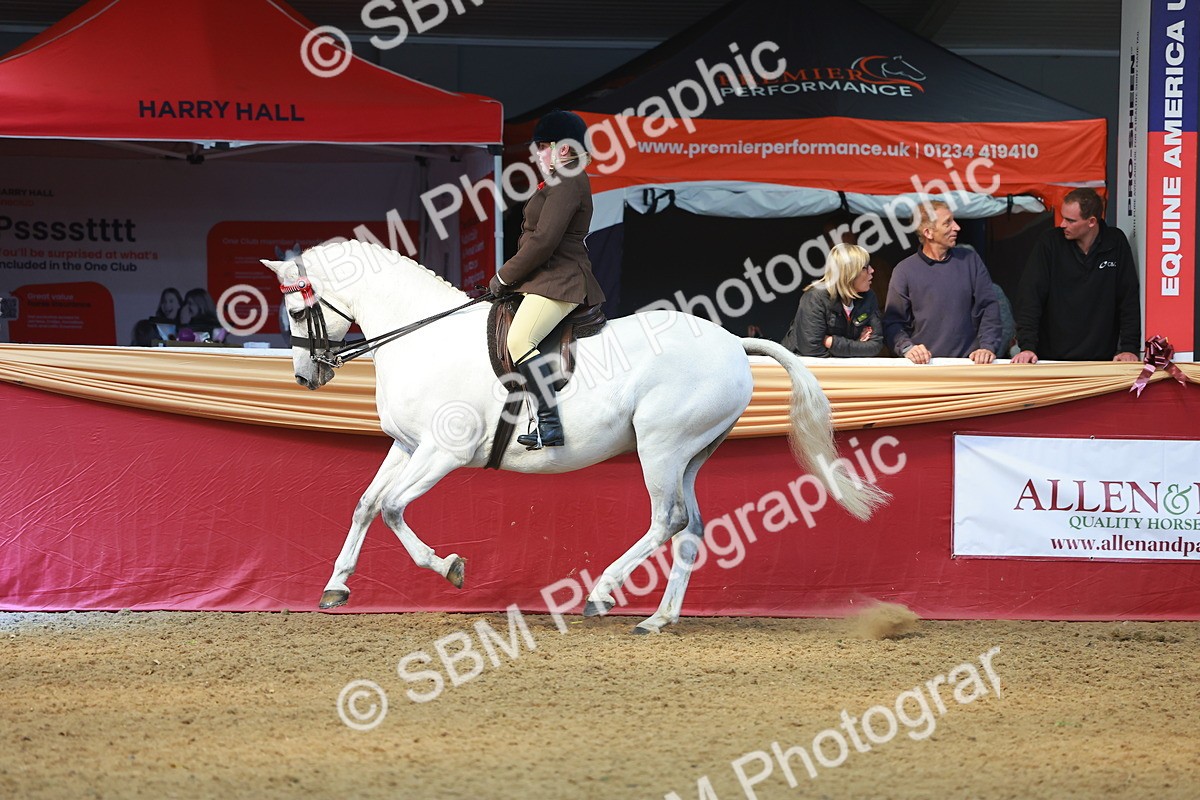SBM_12566 - Class 103 - HOYS Veteran Qualifier - Ridden Pre Vet