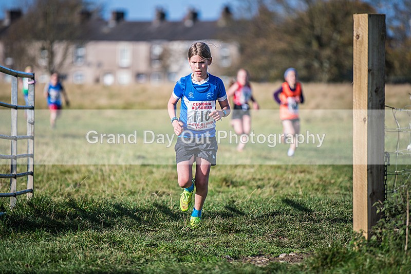 Cumbria XC-139 - Cumbria XC League Workington Saturday 26th October 2024
