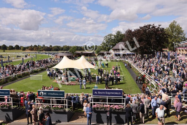 yr19082022r2-9 - Race 7 5.20pm British Stallion Studs EBF Fillies' Stakes