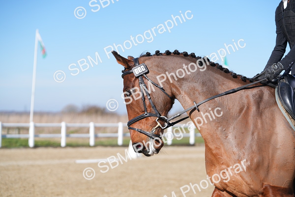 SBM_002278 - Class 3 - P1